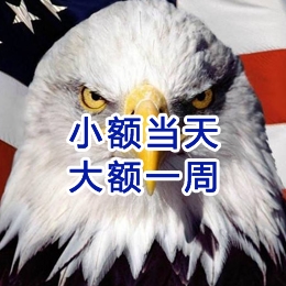 神池要账公司